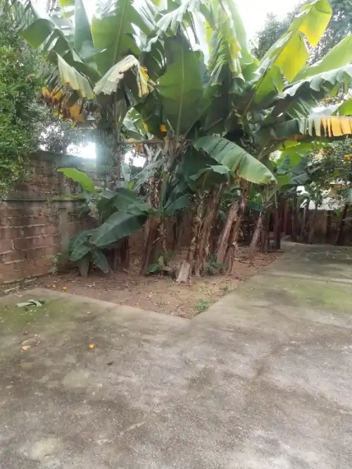 Casa Comercial à venda em Hamburgo Velho, Novo Hamburgo