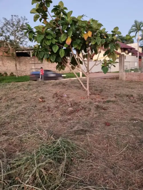 Terreno à venda em Rondônia, Novo Hamburgo