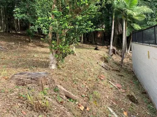 Terreno à venda em Hamburgo Velho, Novo Hamburgo