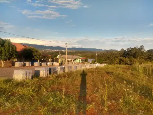 Terreno à venda em Centro, Ivoti
