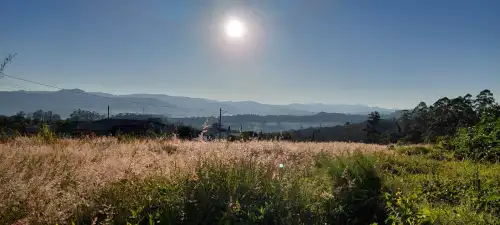 Terreno à venda em Centro, Ivoti